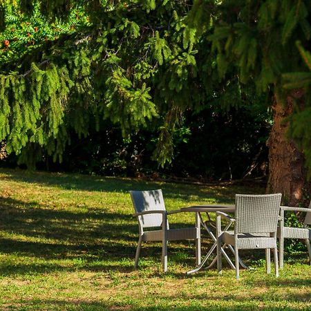 Logis Hotel Noemys Morgon Вілє-Моргон Екстер'єр фото